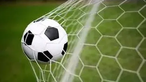 金贝娱乐 资讯 135602 jc8